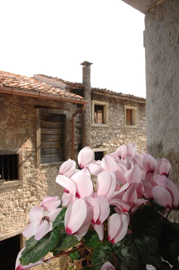 Albergo Diffuso Valcellina E Val Vajont In Erto Dış mekan fotoğraf